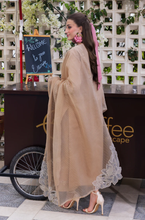 Load image into Gallery viewer, RANG RASIYA - Summer 3PC Lawn ChickenKari Embroidered Suit - LDS049