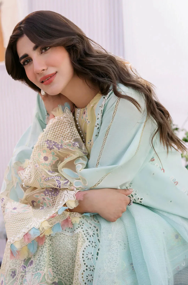 BIN ILYAS - Summer 3PC Lawn ChickenKari Embroidered Suit - LDS031
