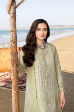 Load image into Gallery viewer, Qalamkar - Summer 3PC Lawn Chicken Kari Embroidered Suit - LDS103