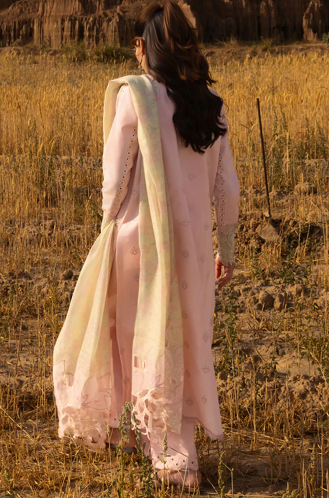 RANG RASIYA - Summer 3PC Lawn ChickenKari Embroidered Suit - LDS044